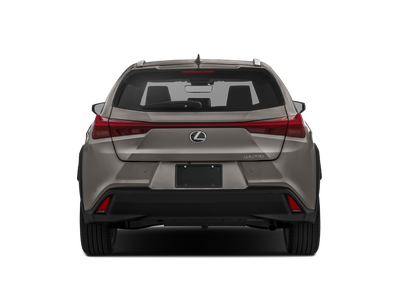 2020 Lexus UX UX 200