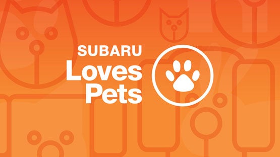 River City Subaru in Huntington WV