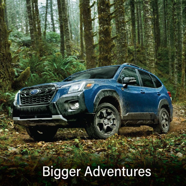 A blue Subaru outback wilderness with the words “Bigger Adventures“. | River City Subaru in Huntington WV