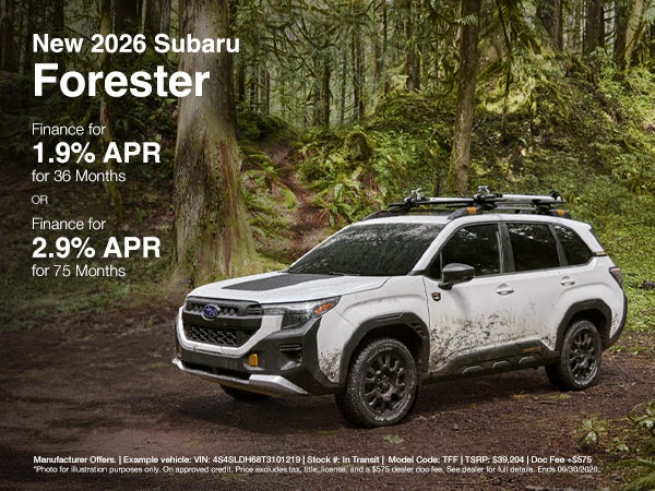 Forester Offer